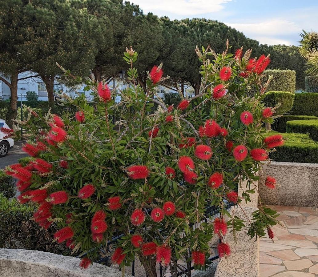 Standing T3Bis Presqu'Ile De La Lagune - Piscine - Mer & Nature Saint-Cyprien  Exterior photo